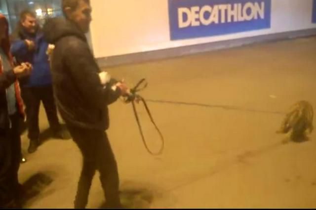 В Рязани тигрица чуть не разорвала мужчину из-за пьяного дрессировщика В Рязани тигрица чуть не разорвала мужчину из-за пьяного дрессировщика