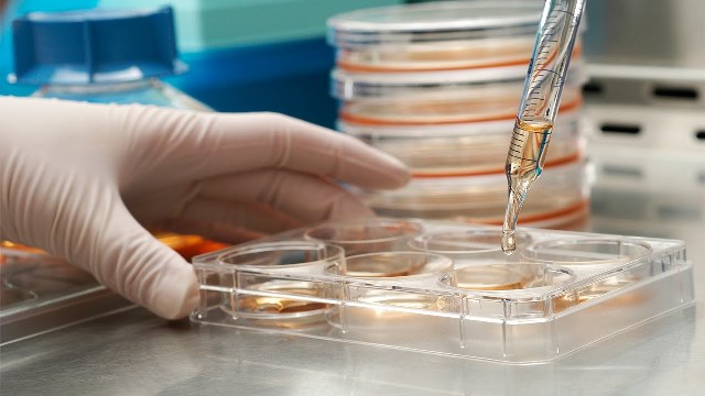 Ученым удалось создать кожу, почти полностью имитирующую настоящую Ученым удалось создать кожу, почти полностью имитирующую настоящую