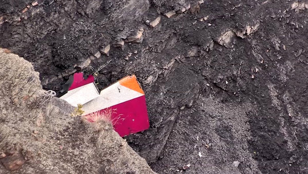 Родственники жертв катастрофы Germanwings хотят получить компенсацию от школы «пилота-камикадзе» Родственники жертв катастрофы Germanwings хотят получить компенсацию от школы «пилота-камикадзе»