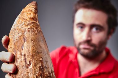 Ученые: найден 30-сантиметровый зуб монстра Ученые: найден 30-сантиметровый зуб монстра