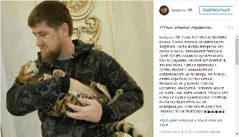 Кадыров просит помощи в поисках пропавшей из дома кошки Кадыров просит помощи в поисках пропавшей из дома кошки