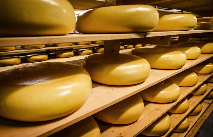 Внутренний рынок США перенасыщен сельхозпродукцией, особенно сыром Внутренний рынок США перенасыщен сельхозпродукцией, особенно сыром