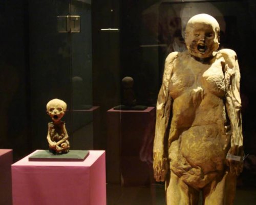 900-летние мумии женщины и двух детей были найдены в Чили 900-летние мумии женщины и двух детей были найдены в Чили