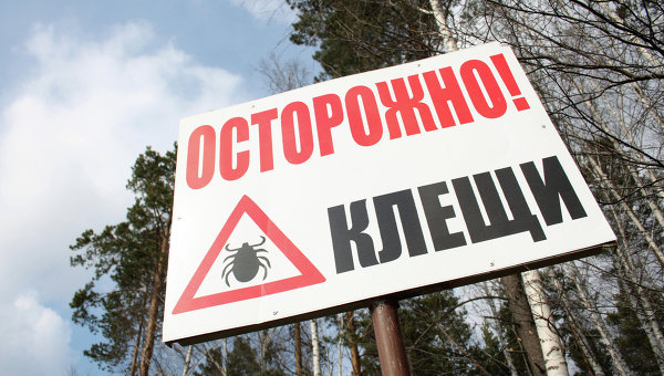 В России дезинфицируют от клещей скверы, парки и летние оздоровительные учреждения В России дезинфицируют от клещей скверы, парки и летние оздоровительные учреждения