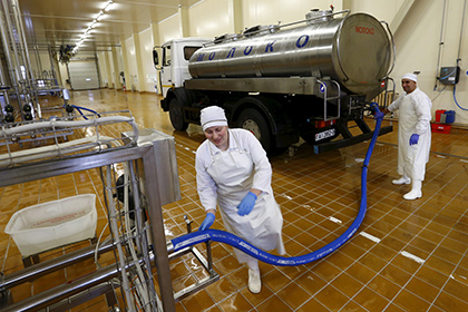 В России могут запретить молоко из Белоруссии В России могут запретить молоко из Белоруссии