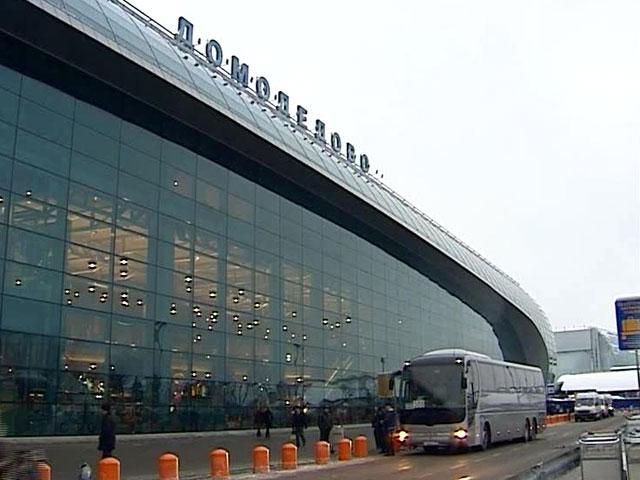В «Домодедово» благополучно сел самолет, в двигатель которого попала птица В «Домодедово» благополучно сел самолет, в двигатель которого попала птица
