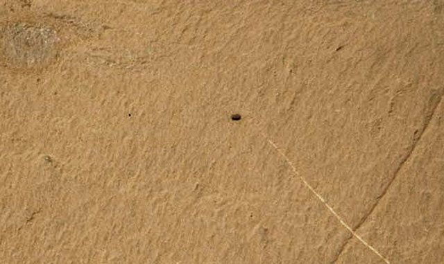 Curiosity обнаружил на Марсе «живой камень» Curiosity обнаружил на Марсе «живой камень»