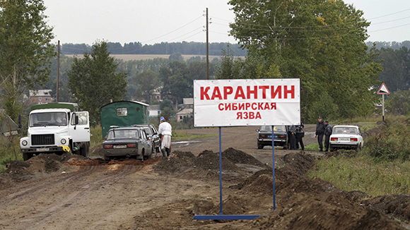 На Ямале снят карантин по сибирской язве На Ямале снят карантин по сибирской язве