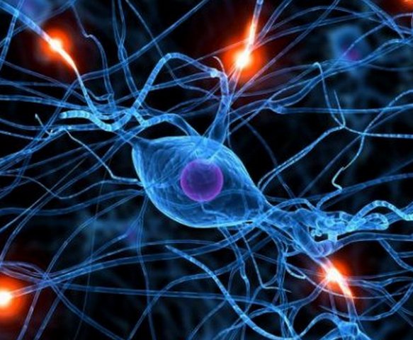 Ученые изобрели искусственный нерв для лечения хронических болей