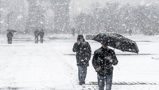 "Снежный апокалипсис": Москву ждет ледяной дождь, метель и много снега