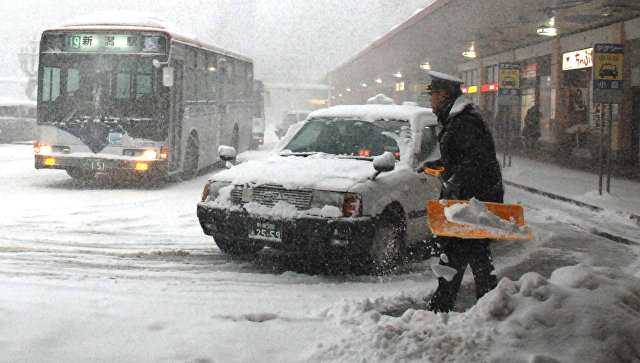 В Токио впервые за 54 года в ноябре выпал снег