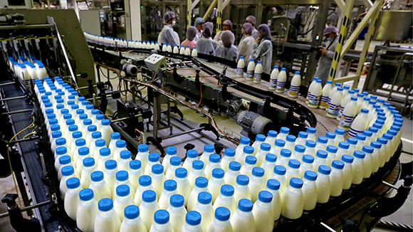 Со следующего года цены на молоко могут подняться на 10 процентов