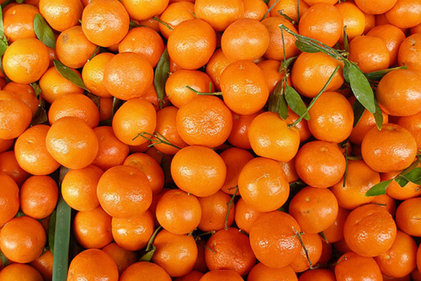 В Краснодарский край запретили ввоз 24,5 тонн мандаринов из Турции