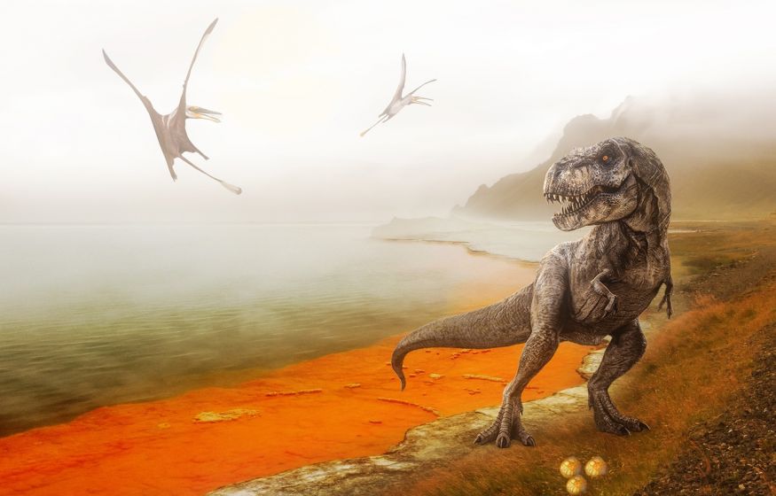 Ученые обнаружили новый вид тираннозавра