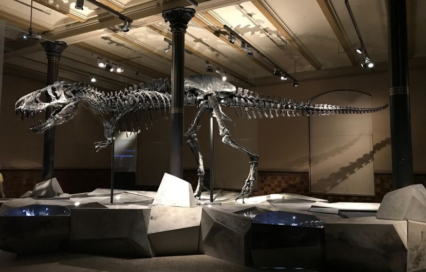 Теперь ученые знают, почему вымерли динозавры