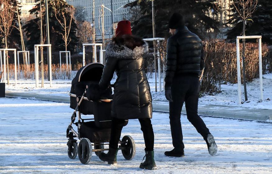 «Действует крохоборный подход»: В Госдуме объяснили, почему правительству не удастся повысить рождаемость