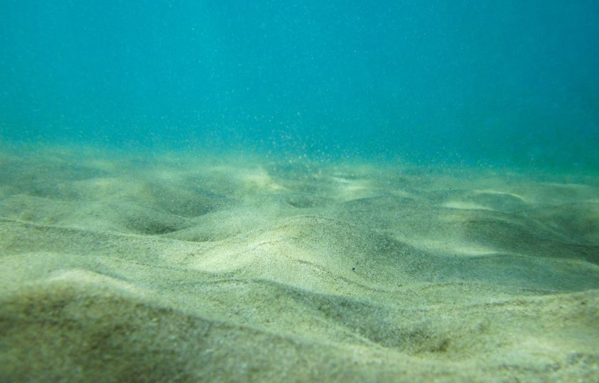 Ученые разгадали загадку миллиона странных дыр на дне Северного моря 