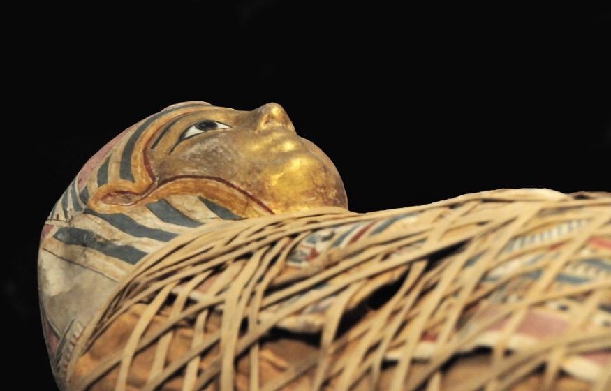 Вши, малярия и паразиты: Мумии раскрывают секреты болезней древних египтян