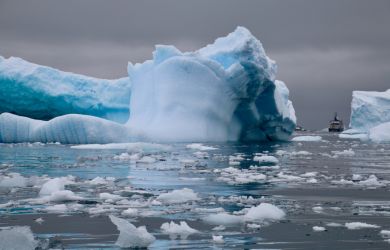 Ученые в шоке! Антарктида ведет себя так, как мы никогда раньше не видели