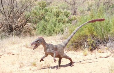 Крупнейшие в мире дейнонихозавры: Что обнаружили китайские ученые?