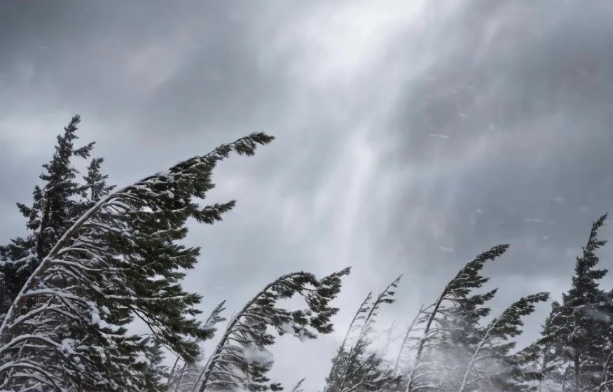 Россия во власти стихии: ребёнок погиб, ещё 31 человек пострадал