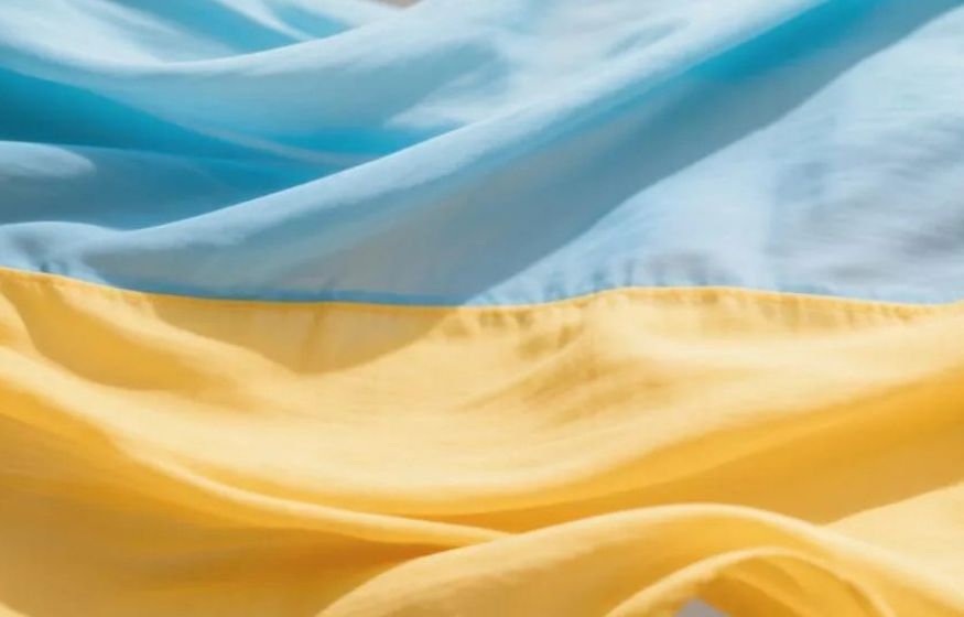 Лепестков не будет: фейк об украинских минах на Кубани разбился о реальность
