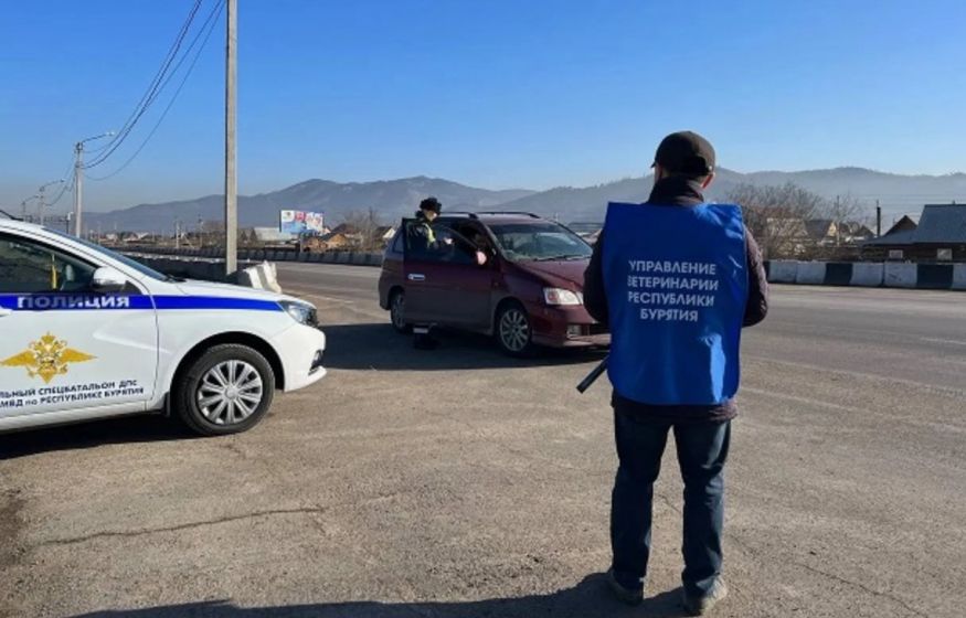 В Бурятии забили тревогу... На границах усилили контроль после вспышки инфекции
