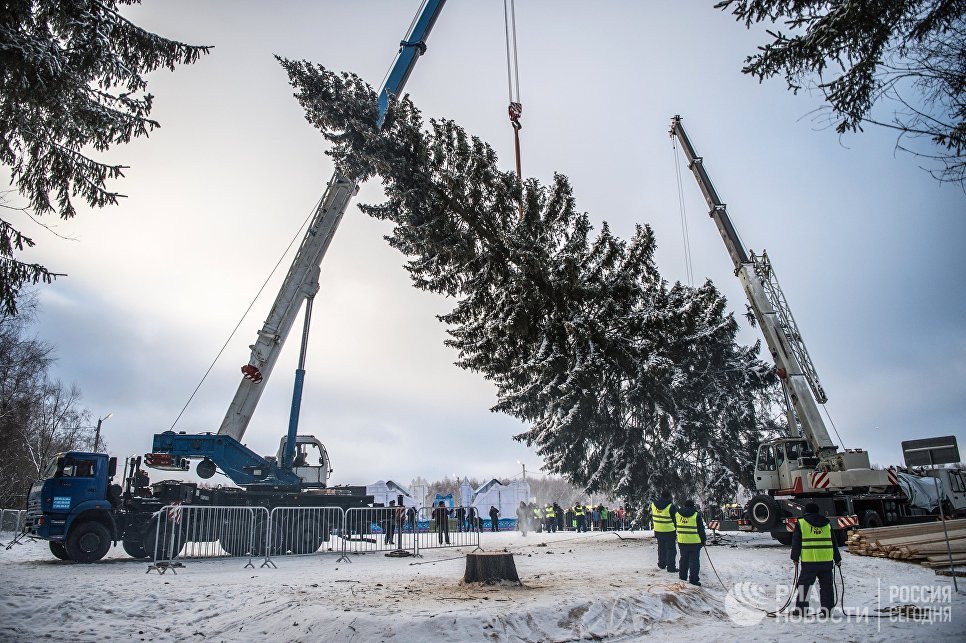 Главная новогодняя елка России была доставлена в Кремль Дедом Морозом на автопоезде