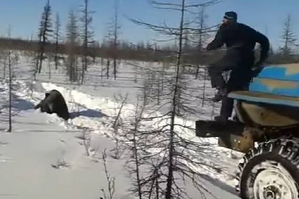 В Якутии проводят проверку по факту убийства медведя «Уралом»