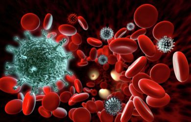 «Изменчивость вируса»: биолог объяснила отсутствие коллективного иммунитета к коронавирусу в России