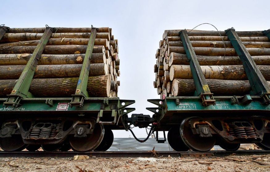 Украина хочет спасти Европу от замерзания с помощью дров