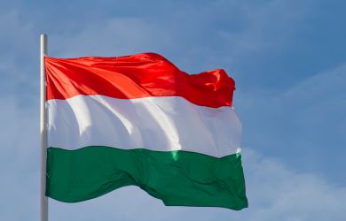 В Венгрии состоялась встреча политиков, поддерживающих раздел Украины