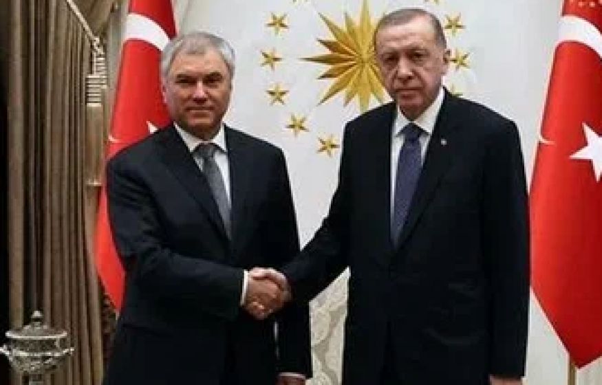 Володин и Эрдоган встретились в Турции