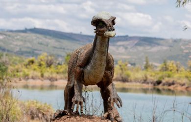 Невероятные заявления ученых о динозаврах после нового открытия