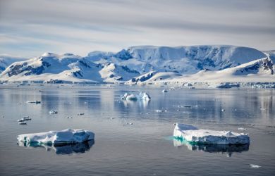 Антарктида приносит миру не менее $180 млрд экономической выгоды в год 
