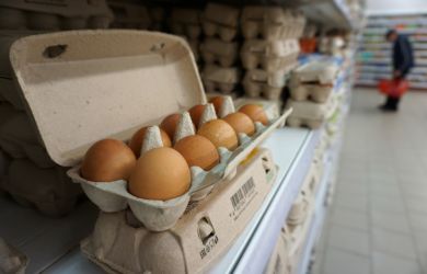 Эксперты опровергли рост цен на куриные яйца