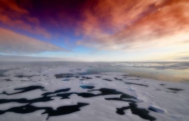 В Антарктике появилось огромное отверстие! Теперь ученые знают, почему