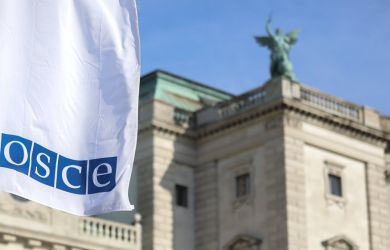Парламентская ассамблея ОБСЕ останется без россиян