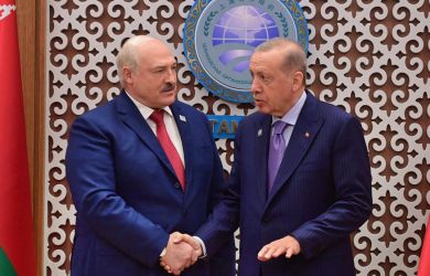 «Нужно остановить конфликт»: Почему Эрдоган это заявил Лукашенко?
