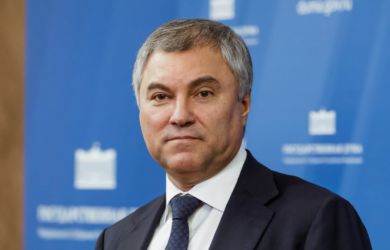 Володин предложил отказывать в ВНЖ медикам и учителям 