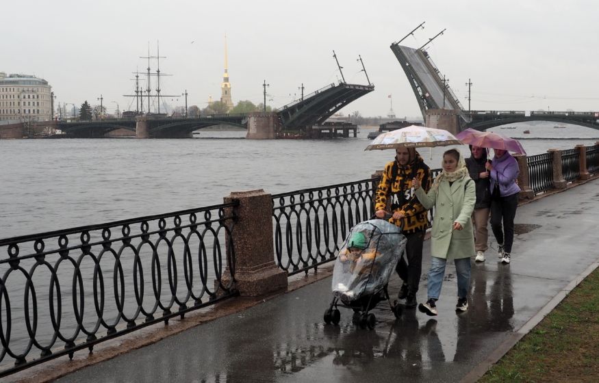 «Петербургу грозит экологическая катастрофа. Чиновники приняли ужасное решение»: в Госдуме бьют тревогу