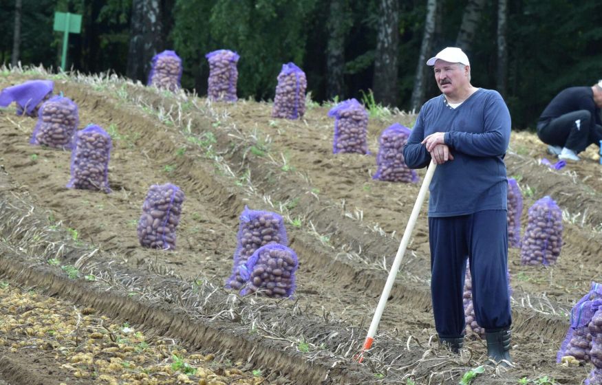 Русские съели всю картошку: Лукашенко оправдался перед Путиным за дефицит 