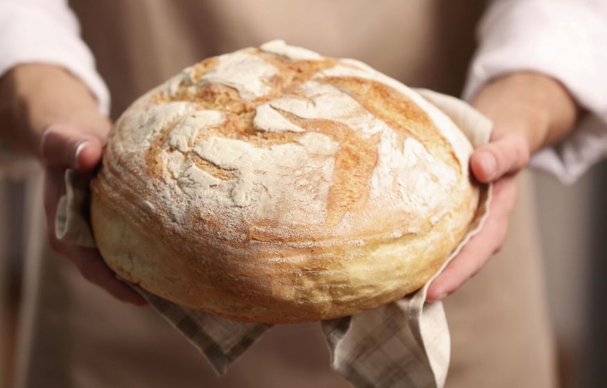 «Россияне достойны качественной продукции. Нужно не сверчками кормить, а земли возделывать»: призыв из Госдумы