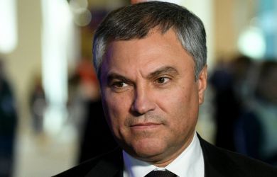 «Стандарты задрали, а на ребенка никто не смотрит»: председатель Госдумы высказался о школьном образовании в РФ