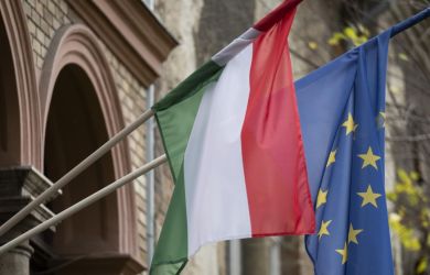 Украину «примут в Евросоюз назло соседям, даже если Венгрия будет против»: ЕК