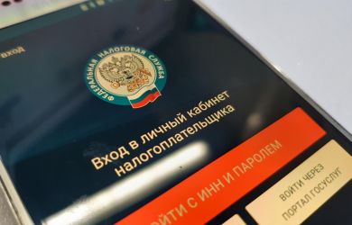 Взыскание долгов по налогам без суда: в Госдуме опасаются серьезных финансовых потерь