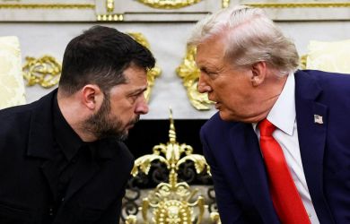 «ЕС надо прислушаться к Путину. Переговоры могут выйти на новый виток»: ГД о результатах встречи Трампа и Зеленского