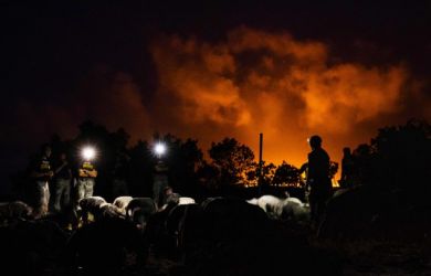 Крупнейший порт на Балтике оказался под ударом. Горит терминал Новатек. Подробности