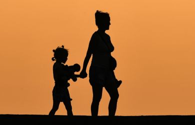 «Реальный стимул для повышения рождаемости и решения жилищной проблемы миллионов россиян»: призыв депутата
