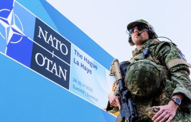 «Нужны события с массовыми жертвами. Только так НАТО можно привести в порядок»: эксперт